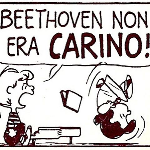 beethoven__vignetta